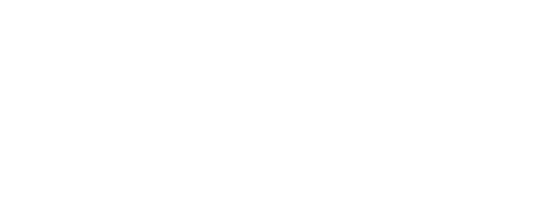 Velux Dachfenster und Lichtlösungen Partner Logo